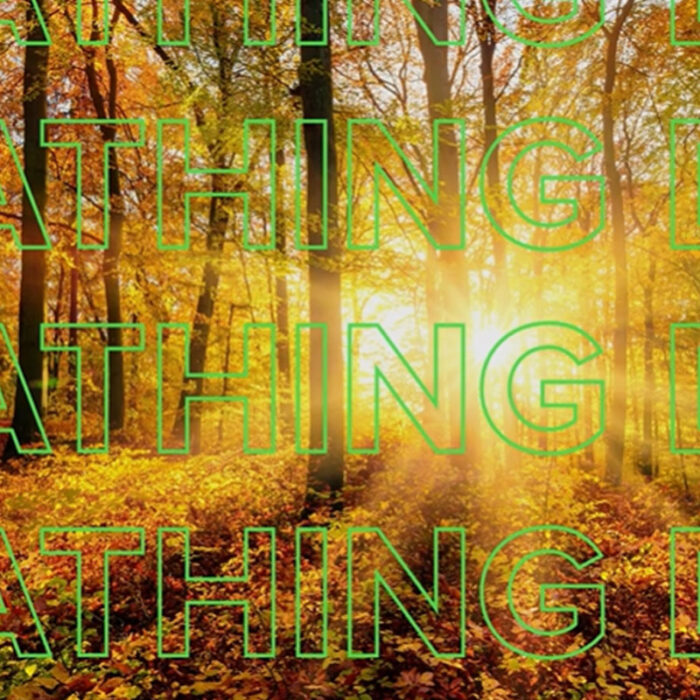 BREATHING DAYS, UN TEAM-BUILDING DÉCOIFFANT